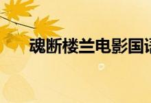 魂斷樓蘭電影國(guó)語版（魂斷樓蘭電影）