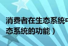 消費(fèi)者在生態(tài)系統(tǒng)中的重要功能（消費(fèi)者在生態(tài)系統(tǒng)的功能）