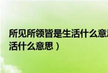 所見所領(lǐng)皆是生活什么意思男生個(gè)性簽名（所見所領(lǐng)皆是生活什么意思）