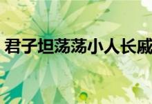 君子坦蕩蕩小人長戚戚的拼音（君子坦蕩蕩）
