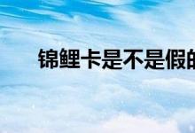 錦鯉卡是不是假的（錦鯉卡是真的嗎）