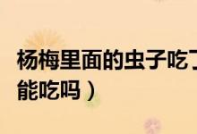 楊梅里面的蟲(chóng)子吃了有事嗎（楊梅里面的蟲(chóng)子能吃嗎）