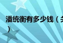 潘統(tǒng)衡有多少錢（關(guān)于潘統(tǒng)衡有多少錢的介紹）