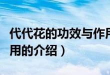 代代花的功效與作用（關(guān)于代代花的功效與作用的介紹）