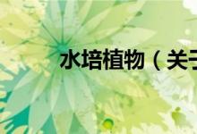 水培植物（關于水培植物的介紹）