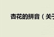 杏花的拼音（關(guān)于杏花的拼音的介紹）