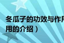 冬瓜子的功效與作用（關(guān)于冬瓜子的功效與作用的介紹）
