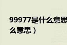 99977是什么意思翻譯成中文（99977是什么意思）