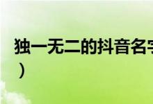 獨(dú)一無(wú)二的抖音名字英文（獨(dú)一無(wú)二的抖音名）