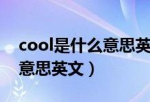 cool是什么意思英文網(wǎng)絡(luò)用語(yǔ)（cool是什么意思英文）