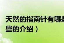 天然的指南針有哪些（關(guān)于天然的指南針有哪些的介紹）