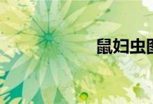 鼠婦蟲圖片(鼠婦)