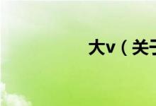 大v(關(guān)于大v的介紹)