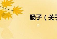 腸子（關(guān)于腸子的介紹）