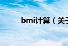 bmi計算（關(guān)于bmi計算的介紹）