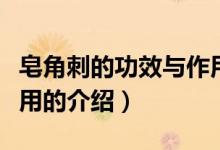 皂角刺的功效與作用(關(guān)于皂角刺的功效與作用的介紹)