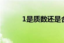 1是質(zhì)數(shù)還是合數(shù)（1是質(zhì)數(shù)嗎）