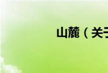 山麓（關(guān)于山麓的介紹）