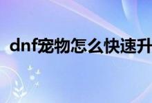 dnf寵物怎么快速升級(jí)（dnf寵物怎么獲得）