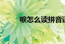 唳怎么讀拼音語(yǔ)音（唳怎么讀音）