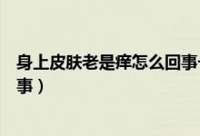 身上皮膚老是癢怎么回事一碰就紅（身上皮膚老是癢怎么回事）