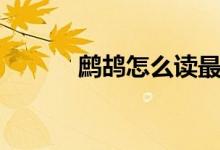 鷓鴣怎么讀最好（鷓鴣怎么讀）
