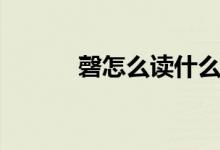 磬怎么讀什么意思（磬怎么讀）
