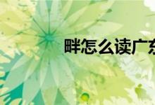 畔怎么讀廣東話（畔怎么讀）