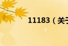 11183（關(guān)于11183的介紹）