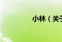 小林（關于小林的介紹）