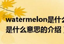 watermelon是什么意思（關于watermelon是什么意思的介紹）