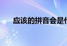 應該的拼音會是什么呢（應該的拼音）