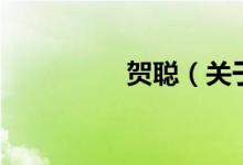 賀聰（關(guān)于賀聰?shù)慕榻B）
