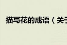 描寫花的成語（關(guān)于描寫花的成語的介紹）