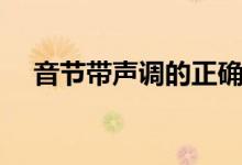 音節(jié)帶聲調(diào)的正確寫法（音節(jié)帶聲調(diào)嗎）