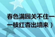 春色滿園關不住一枝紅杏（春色滿園關不住 一枝紅杏出墻來）