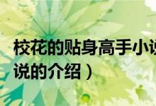 ?；ǖ馁N身高手小說(shuō)（關(guān)于?；ǖ馁N身高手小說(shuō)的介紹）