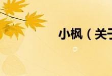 小楓（關(guān)于小楓的介紹）