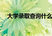 大學(xué)錄取查詢什么時(shí)候可以查(在哪查)