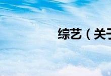 綜藝(關(guān)于綜藝的介紹)