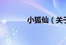 小狐仙（關(guān)于小狐仙的介紹）