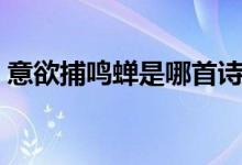 意欲捕鳴蟬是哪首詩(shī)（意欲捕鳴蟬的下一句）