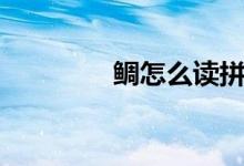鯛怎么讀拼音（鯛怎么讀）