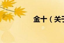 金十（關(guān)于金十的介紹）