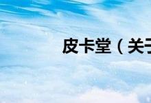 皮卡堂（關(guān)于皮卡堂的介紹）