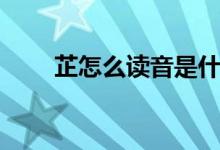 芷怎么讀音是什么意思（芷怎么讀）