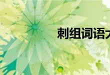 刺組詞語大全（刺組詞）