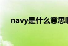 navy是什么意思?。╪avy是什么顏色）