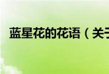 藍(lán)星花的花語(yǔ)（關(guān)于藍(lán)星花的花語(yǔ)的介紹）
