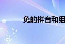 兔的拼音和組詞語(yǔ)（兔的拼音）